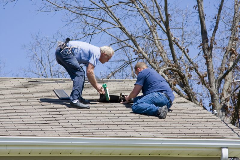 Roof Patch Repairs